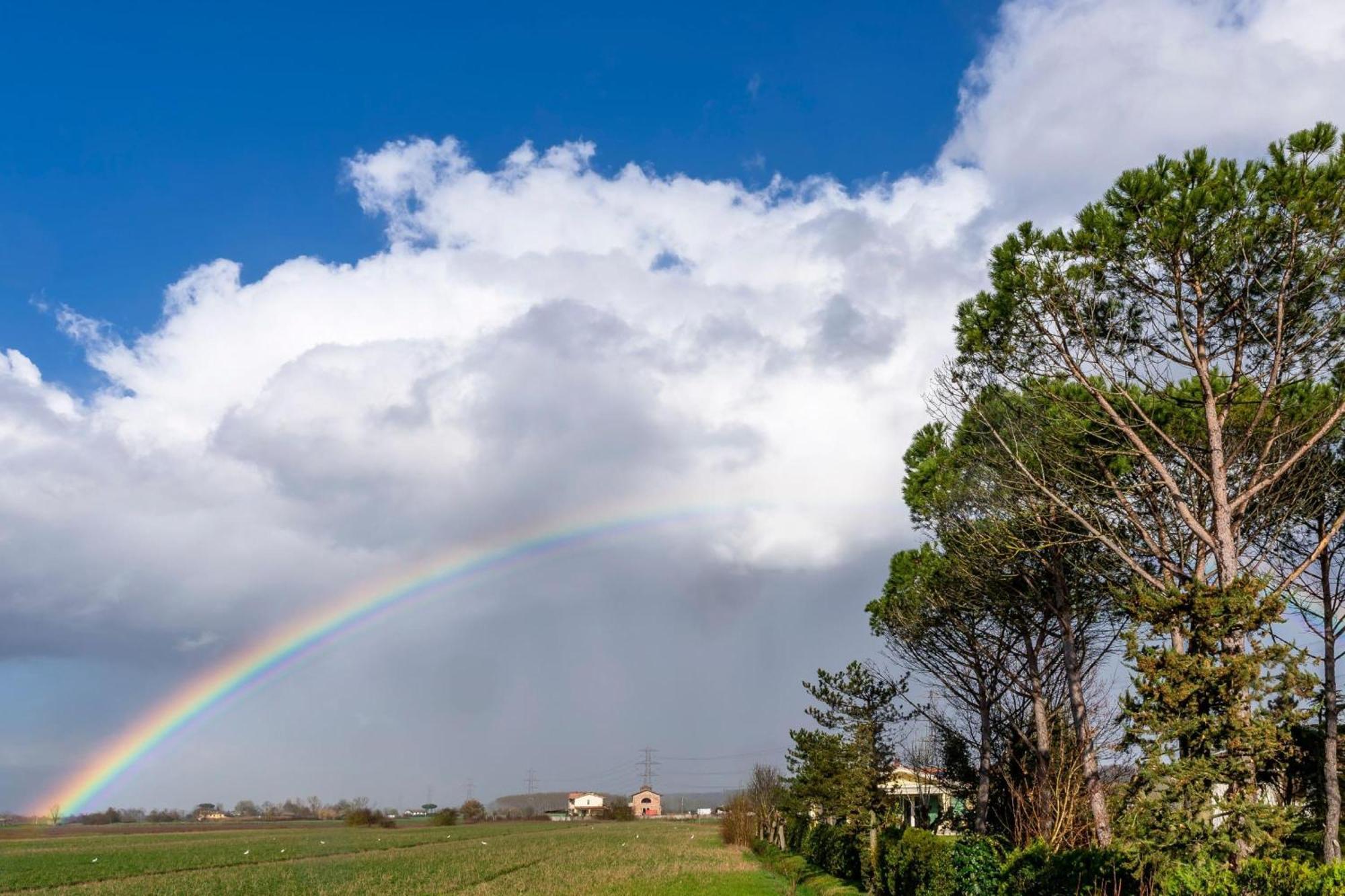 Tenuta Santa Colomba - Happy Rentals Μπιεντίνα Εξωτερικό φωτογραφία